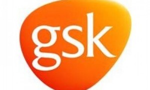 services provided for GSK