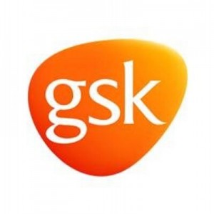services provided for GSK