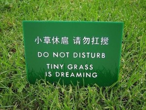 translationfail13